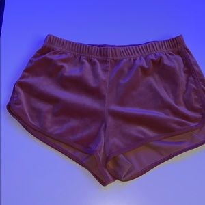 velvety shorts womens